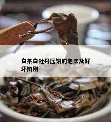 白茶白牡丹压饼的泡法及好坏辨别