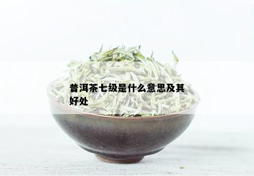 普洱茶七级是什么意思及其好处