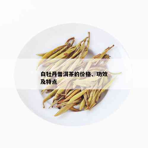 白牡丹普洱茶的价格、功效及特点