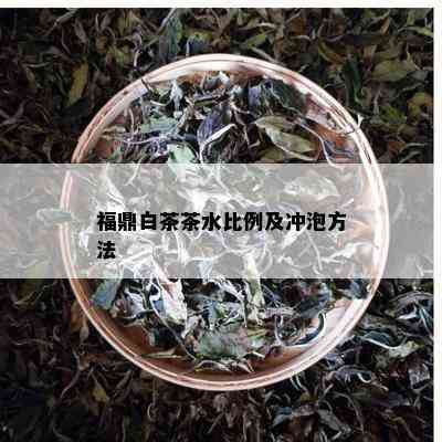 福鼎白茶茶水比例及冲泡方法