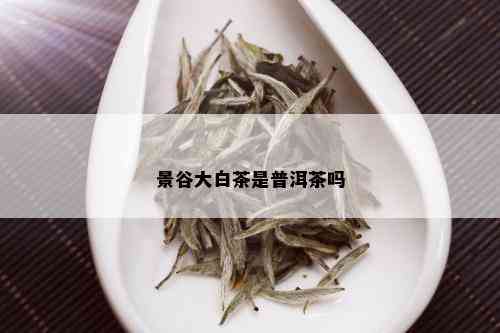 景谷大白茶是普洱茶吗