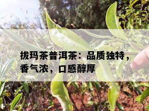 拔玛茶普洱茶：品质独特，香气浓，口感醇厚