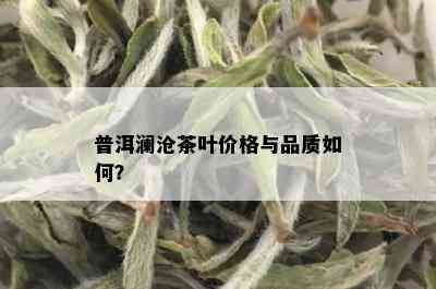 普洱澜沧茶叶价格与品质如何？