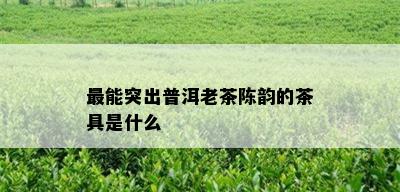 最能突出普洱老茶陈韵的茶具是什么