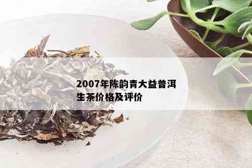 2007年陈韵青大益普洱生茶价格及评价