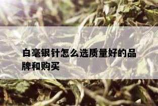 白毫银针怎么选质量好的品牌和购买