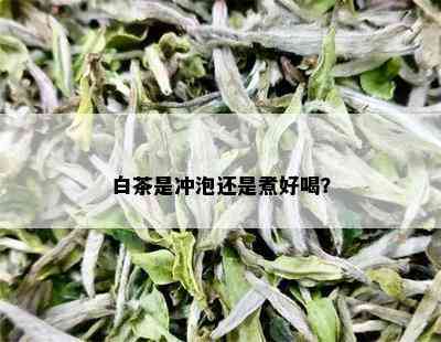 白茶是冲泡还是煮好喝？