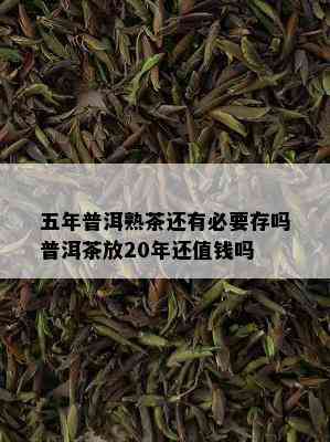 五年普洱熟茶还有必要存吗普洱茶放20年还值钱吗