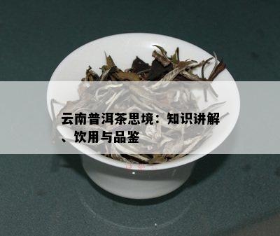 云南普洱茶思境：知识讲解、饮用与品鉴