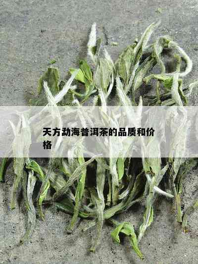 天方勐海普洱茶的品质和价格