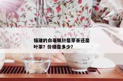 福建的白毫银针是芽茶还是叶茶？价格是多少？