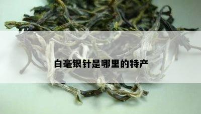 白毫银针是哪里的特产