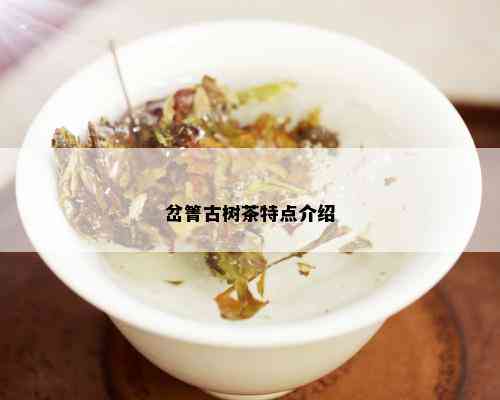 岔箐古树茶特点介绍