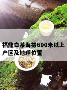 福鼎白茶海拔600米以上产区及地理位置