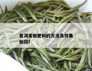 普洱茶做肥料的方法及效果如何？