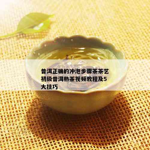 普洱正确的冲泡步骤茶茶艺初级普洱熟茶视频教程及5大技巧