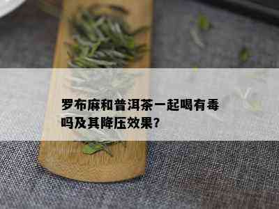 罗布麻和普洱茶一起喝有吗及其降压效果？