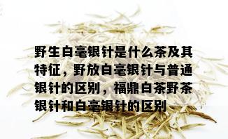 野生白毫银针是什么茶及其特征，野放白毫银针与普通银针的区别，福鼎白茶野茶银针和白毫银针的区别