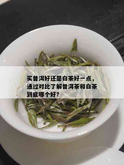 买普洱好还是白茶好一点，通过对比了解普洱茶和白茶到底哪个好?