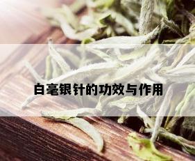 白毫银针的功效与作用