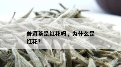 普洱茶是红花吗，为什么是红花？