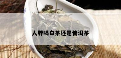 人胖喝白茶还是普洱茶