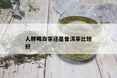 人胖喝白茶还是普洱茶比较好