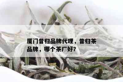 厦门昔归品牌代理，昔归茶品牌，哪个茶厂好？