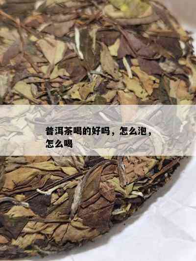 普洱茶喝的好吗，怎么泡，怎么喝