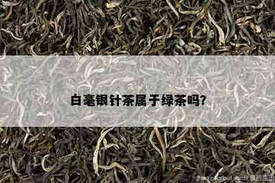 白毫银针茶属于绿茶吗？