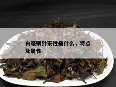 白毫银针茶性是什么，特点及属性