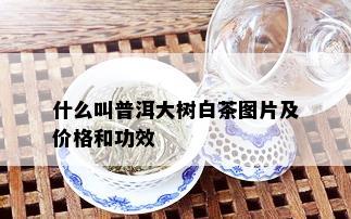 什么叫普洱大树白茶图片及价格和功效