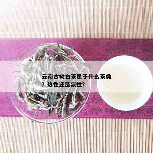 云南古树白茶属于什么茶类？热性还是凉性？