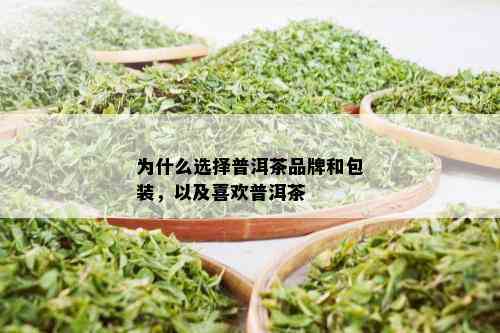 为什么选择普洱茶品牌和包装，以及喜欢普洱茶