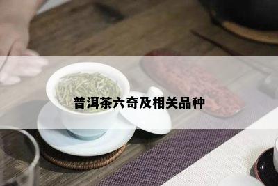 普洱茶六奇及相关品种