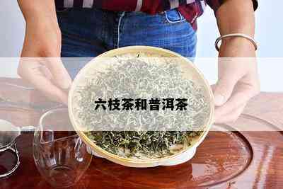 六枝茶和普洱茶