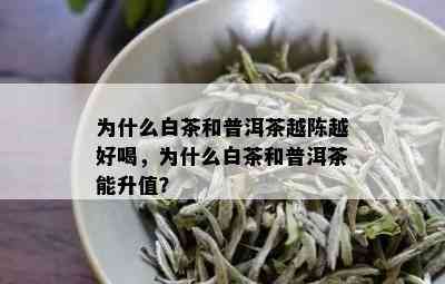 为什么白茶和普洱茶越陈越好喝，为什么白茶和普洱茶能升值？