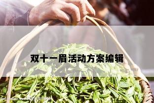 双十一眉活动方案编辑