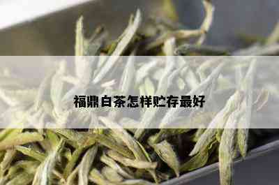 福鼎白茶怎样贮存更好