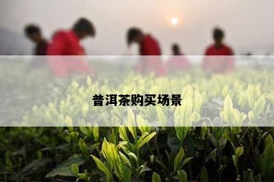 普洱茶购买场景