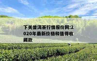 下关普洱茶行情报价网:2020年最新价格和值得收藏款