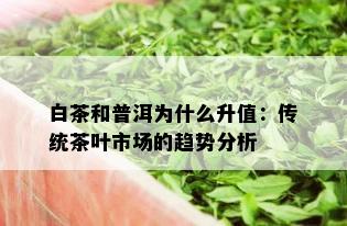 白茶和普洱为什么升值：传统茶叶市场的趋势分析