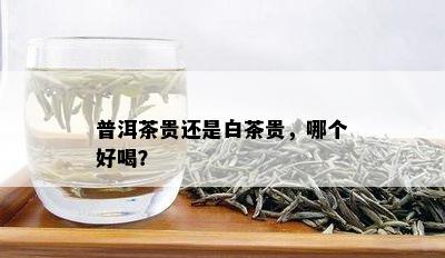 普洱茶贵还是白茶贵，哪个好喝？