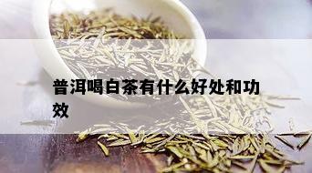 普洱喝白茶有什么好处和功效