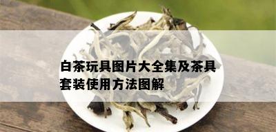 白茶玩具图片大全集及茶具套装使用方法图解