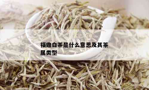 福鼎白茶是什么意思及其茶属类型