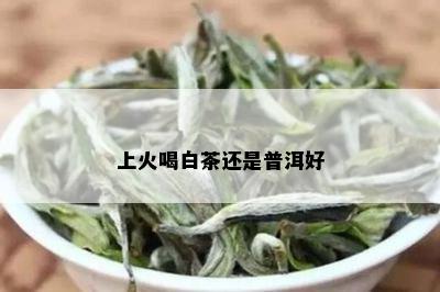 上火喝白茶还是普洱好