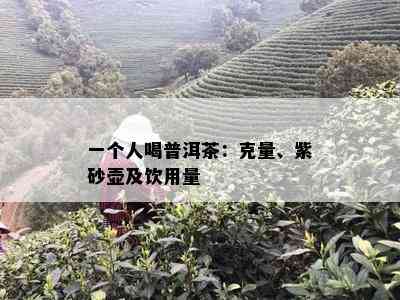 一个人喝普洱茶：克量、紫砂壶及饮用量