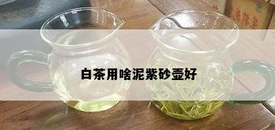 白茶用啥泥紫砂壶好