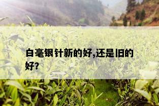 白毫银针新的好,还是旧的好？